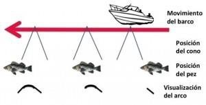 Instalación sonda de pesca en kayak Barracuda. ¡Cómo se pone el